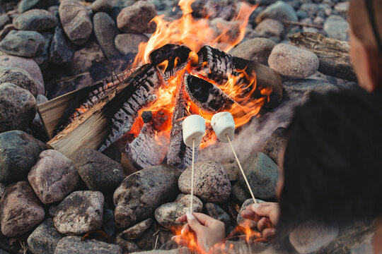 Marshmello Barbecue Open Fireplace