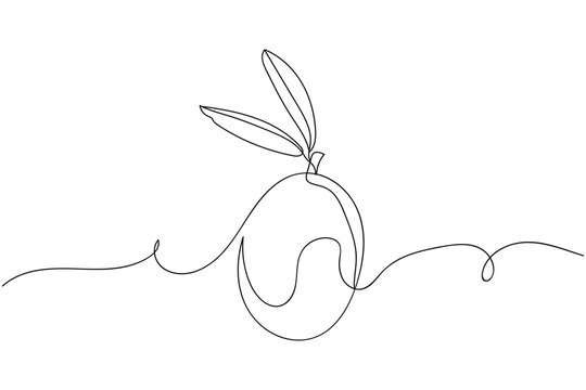 Continuous one line of olive organic food in silhouette on a white background. Linear stylized.Minimalist.
