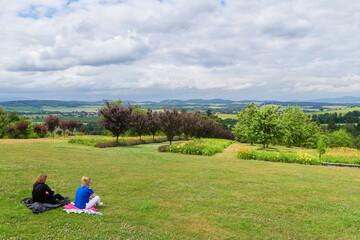 Piknik z przyjaciółmi na trawiastym wzgórzu z widokiem na cały świat, drzewa, kwiaty,, pochmurne niebo. - obrazy, fototapety, plakaty