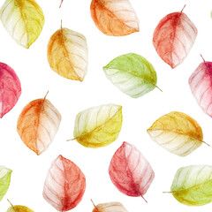 Obraz premium Colorful autumn leaves watercolor illustration. Template for decorating designs and illustrations.