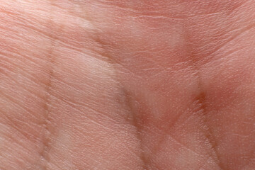 Fototapeta premium Lines on the palm close up. Palmistry concept.