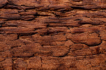 Naklejka premium Texture of old wood close-up. Can be used as a background.