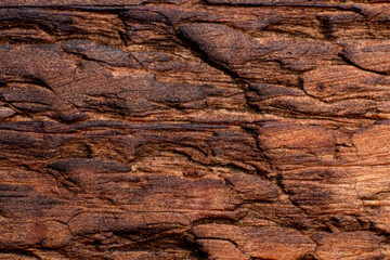 Texture of old wood close-up. Can be used as a background.