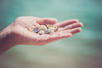 Child's hand holding shells isolated, shells in the background, beach