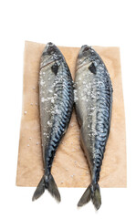 fresh mackerels with salt on baking paper isolated on white