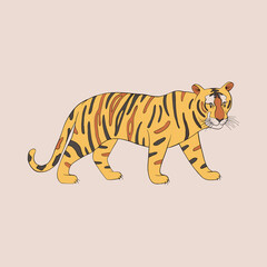 Cartoon tiger isolated on white background.