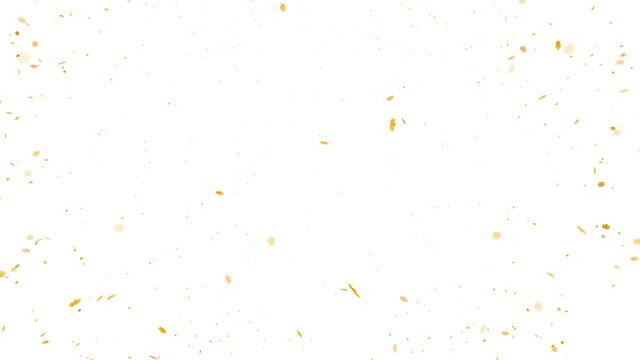 Beautiful realistic falling autumn season leaves on white isolated background.