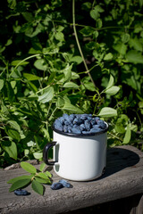 Fresh honeysuckle berries with leaves in an iron mug on the background of a wooden table. Agriculture, gardening, the concept of the summer harvest.