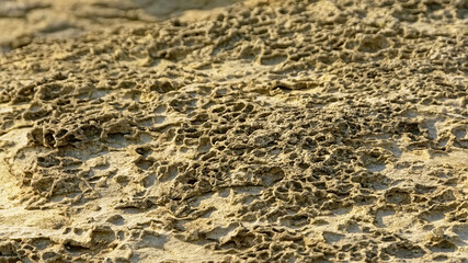 Sunny beige textured sandstone rocks along the French Opal coast along north sea