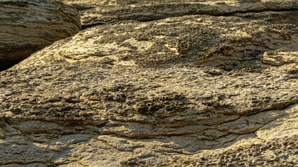 Sunny beige textured sandstone rocks along the French Opal coast along north sea
