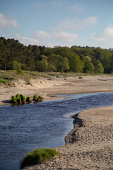 the river in the forest in dunes