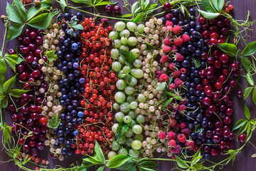 Background of various freshly gathered juicy colorful berries, mix of red currants, black currants, raspberries, white currants, blueberries, gooseberries, cherries on dark background with green leave