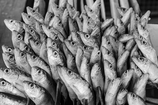 fotos de espetos en las playas de Marbella