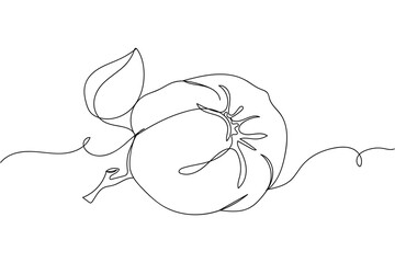 Fototapeta premium Continuous one line of quince with leaf in silhouette on a white background. Linear stylized.Minimalist.
