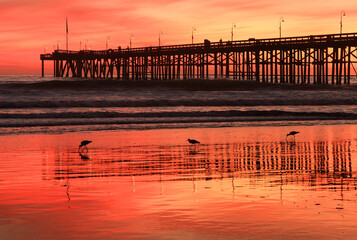 Spectacular California Coast Sunsets along the Beach and Harbors