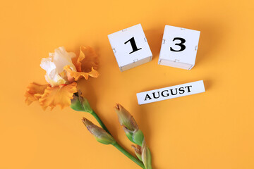Calendar for August 13 : the name of the month of August in English, cubes with the number 13, yellow iris on a yellow background, top view
