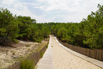 Fototapeta na wymiar Wooden pathway access to beach sea in lege Cap-Ferret coast Atlantic in france