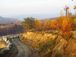 Obraz premium Herbstwald am Steinbruch