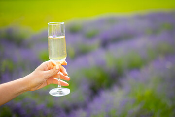 Woman hand with champagne glass on a Lavander fields background in Czech republic