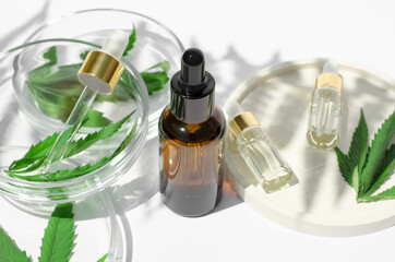 Fototapeta premium Bottles with hemp oil, petri dishes with hemp leaves on a white background with shadows. Natural hemp cosmetics. Cosmetics CBD oil
