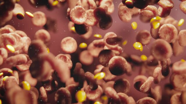 Blutuntersuchung - rote Blutk&ouml;rperchen und Fettzellen - Thema Cholesterin