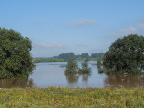 Hochwasser am Rhein bei Bislich