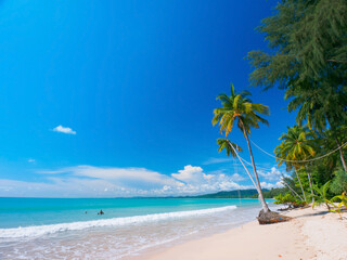 Quiet tropical beach on a sunny day (Coconut beach, Khao Lak, Phang Nga, Thailand)