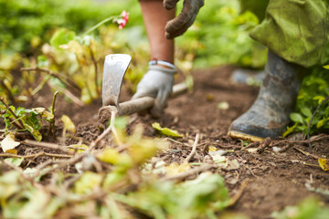 mujer latina trabajando en mantenimiento de jardin con un pico en un parque 