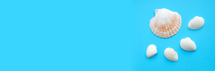 Banner with shells isolated on blue background. Summer sea travel concept. Flat lay, copy space.