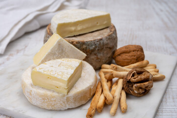 Cheese collection, fresh white soft cow cheese with mold from Swiss and tommette de savoie from France, cheese made in Alpine mountains