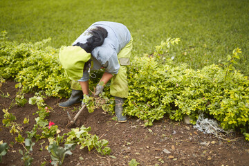 mujer latina trabajando en mantenimiento de jardin con un pico en un parque 