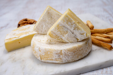 Cheese collection, fresh white soft cow cheese with mold from Swiss