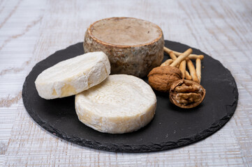 Cheese collection, fresh white soft cow cheese with mold from Swiss and tommette de savoie from France, cheese made in Alpine mountains