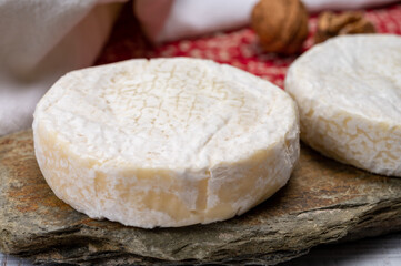 Fototapeta na wymiar Cheese collection, fresh white soft cow cheese with mold from Swiss
