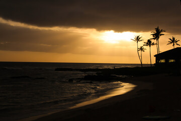 sunset on the beach in Oahu - 446122301
