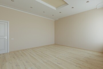 Empty interior. New room without decor and furniture. New living space. Apartment project. 3d rendering