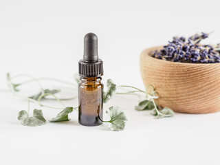 Brown glass dropper bottle with pipette and black rubber tip. Wooden bowl of fresh lavender and green foliage on background. Organic spa concept.
