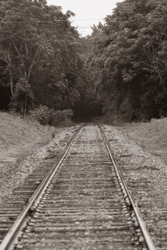 railroad tracks fading off into countryside trees