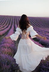 beautiful woman with dark hair in elegant white dress posing in bloomig lavender field on sunset