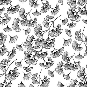 Seamless pattern hand drawn ginkgo biloba branches black and white vector illustration