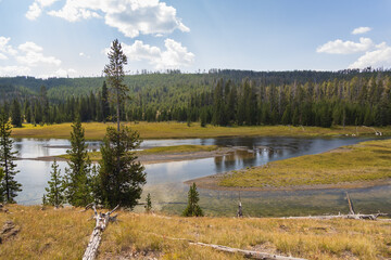 Hiking trail along Lewis River Channel, Yellowstone National Park, USA