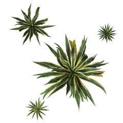 VEGETATION TOP VIEW - TREES AND BUSHES IN PLAN	