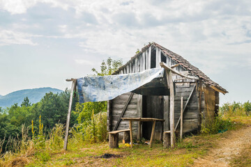 Abandoned log cabin