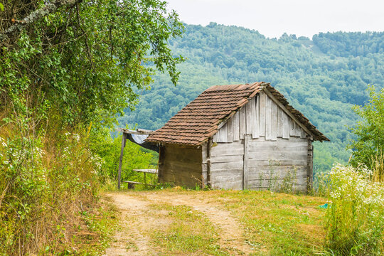 Abandoned log cabin - Powered by Adobe