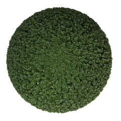 VEGETATION TOP VIEW - TREES AND BUSHES IN PLAN	