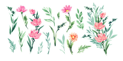 Botanical watercolor illustration of floral elements.