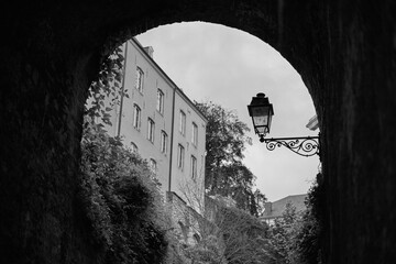 Fototapeta premium ALl