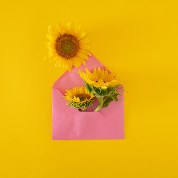 fresh yellow sunflower in the pink letter on the yellow summer modern tropical flat lay. virtual present. virtual flowers. virtual mail and message