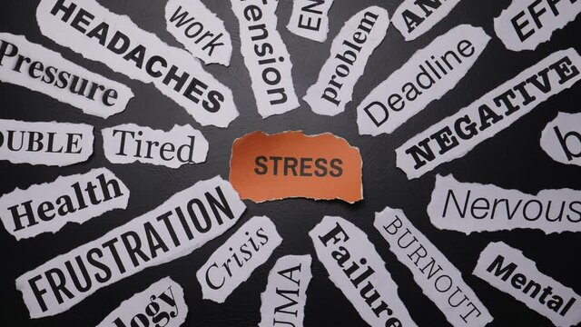 STRESS Word Cloud Animation Loop With Many Words
