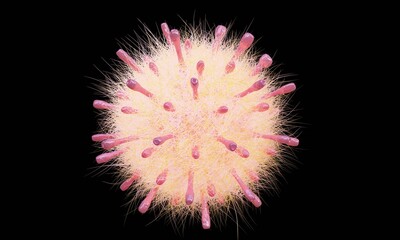 Virus, coronavirus, covid-19, variants